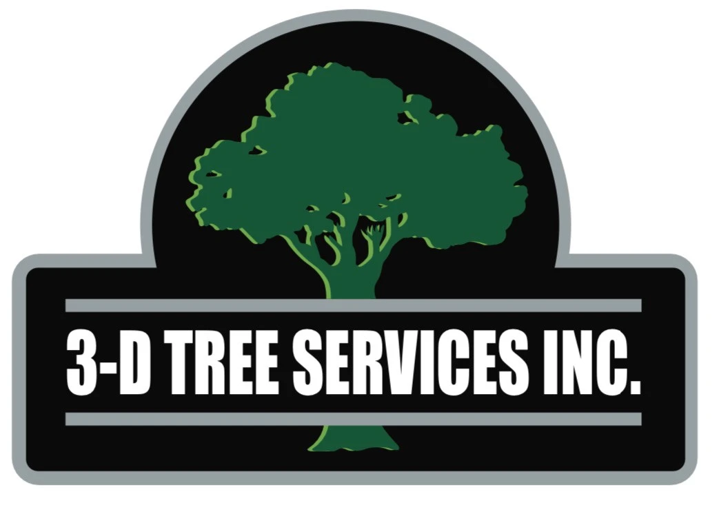 3-D Tree Services - Logo Wasatch Peaks Heating and Air Conditioning logo featuring a blue and red mountain design, representing reliable HVAC services and home comfort solutions in West Jordan and the surrounding Utah areas.
